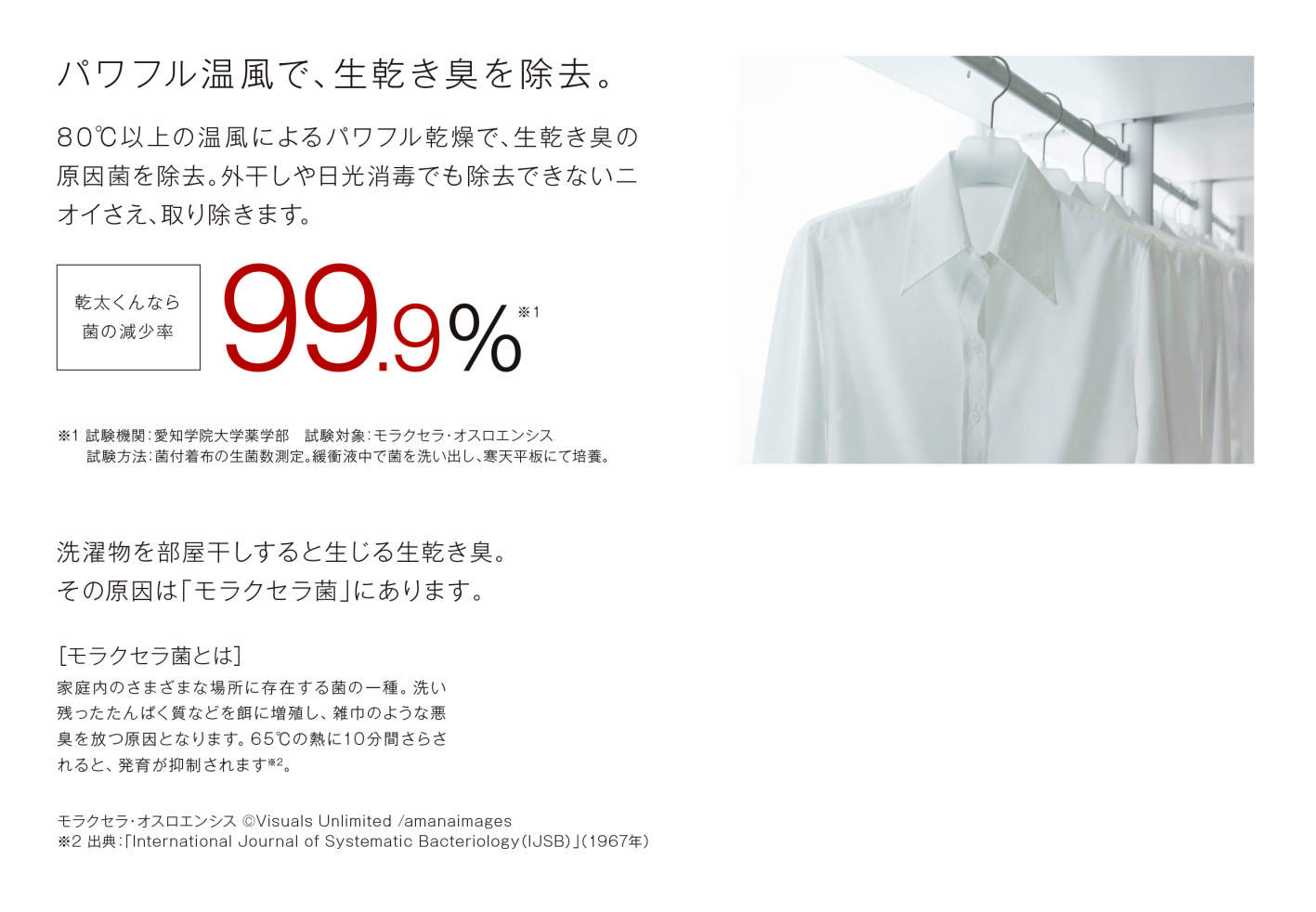 モラクセラ菌99.9%減少